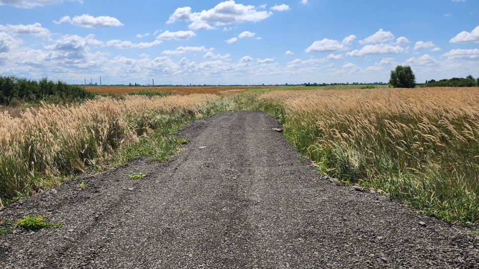 PUZ rezidential /servicii de vanzare Sacalaz - Poză 9