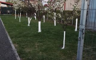 Teren 595 mp | Cartierul Florilor | Anexă locuibilă 42,5 mp - Poză 4