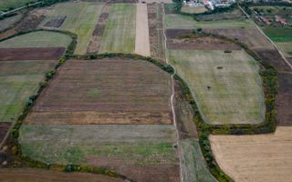 Teren agricol de 34.500mp în Albina, Județul Timiș - Poză 3