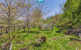 Casă Câmpani, 8000 mp teren, la poalele Apusenilor - Poză 23