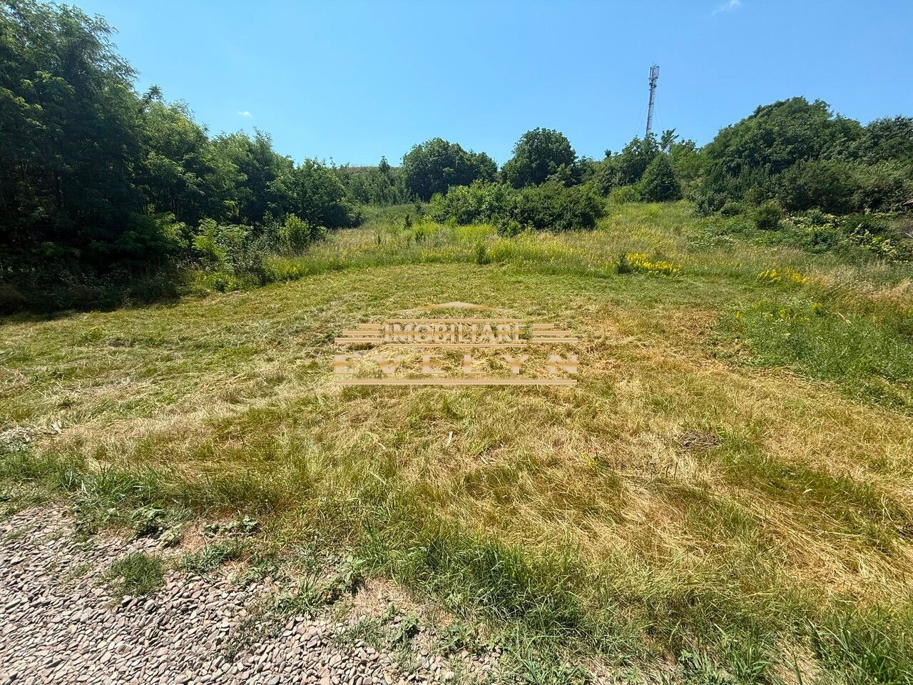 Teren intravilan 3.667 mp de vânzare – Str. Cismea, Botoșani - Poză 1