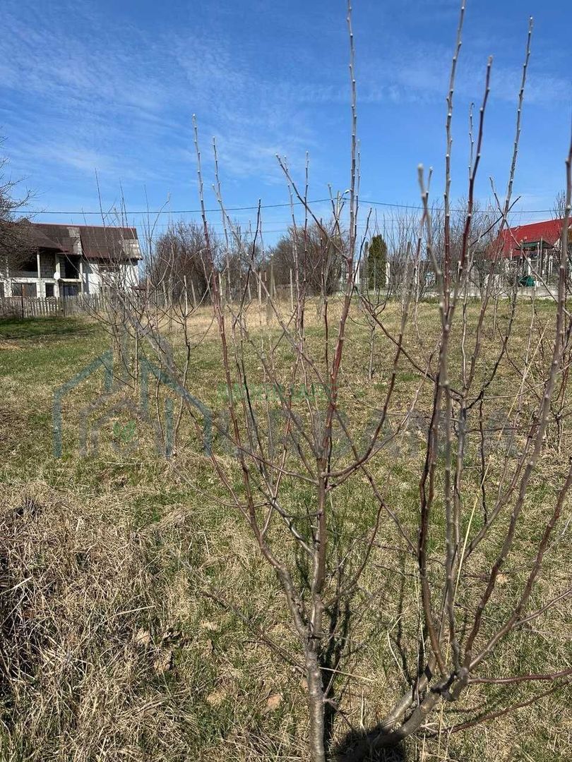 Teren intravilan de vânzare în centrul comunei Bârnova, Iași - Poză 5