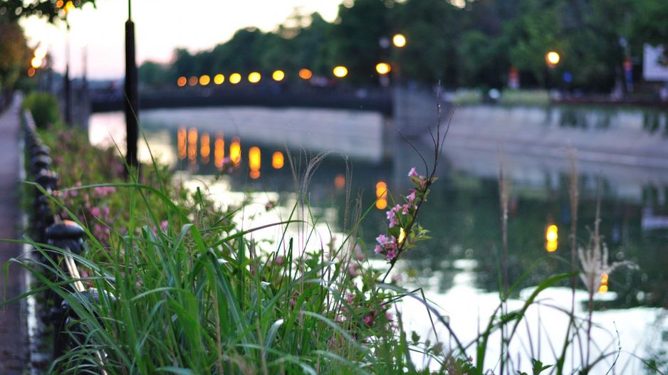 Palatul Parlamentulu Izvor | Cotroceni | Curte libera 300Mp |10 parcari in curte - Poză 105