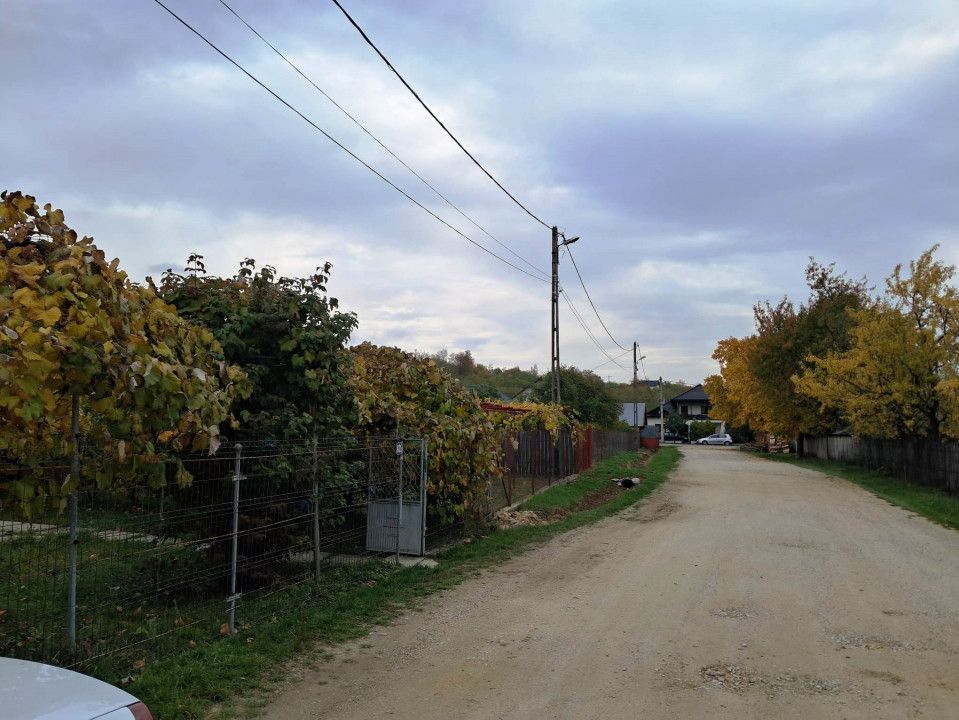 CASĂ SI TEREN BAIA DE FIER - Poză 4