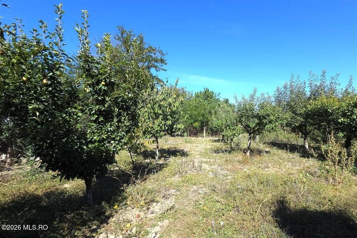 Castelu - Str. Florilor, casa din 2012, teren 737 mp si 106 mp utili - Poză 7