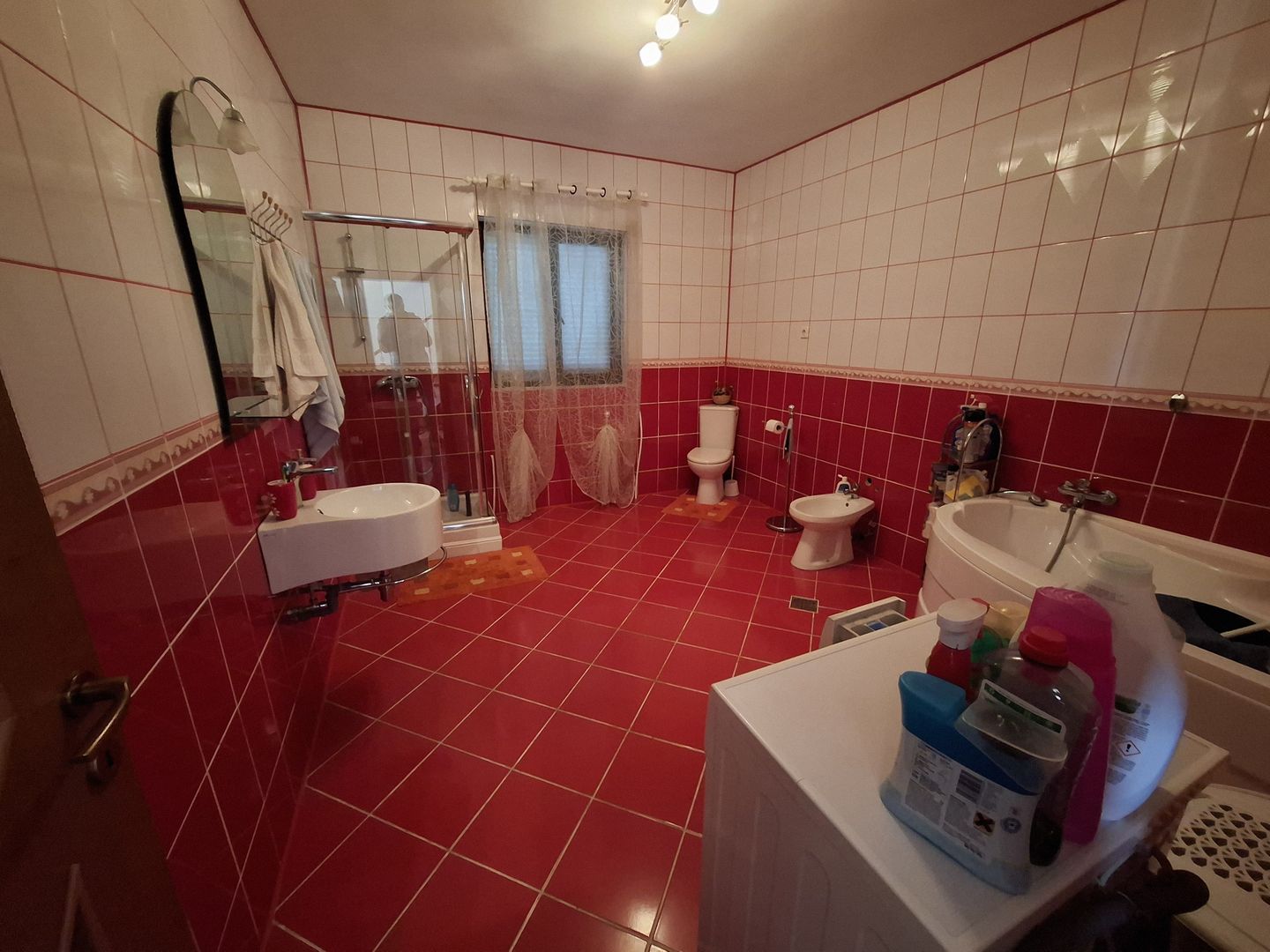 🏡 Casă de vânzare – Nicolae Bălcescu, la E85 - Poză 15