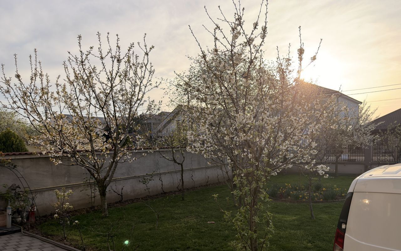 Casă individuală P+M în Eurocartier Brestei – Craiova | 505mp - Poză 13