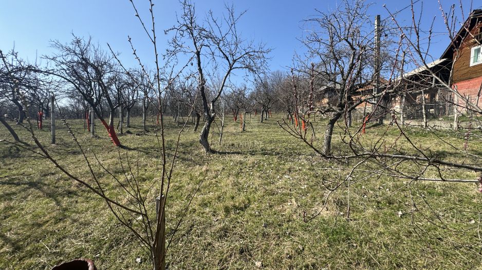 CASA 3 CAMERE+ANEXA 2 CAMERE GARAJ TEREN 2430MP BEREVOIESTI ARGES - Poză 34