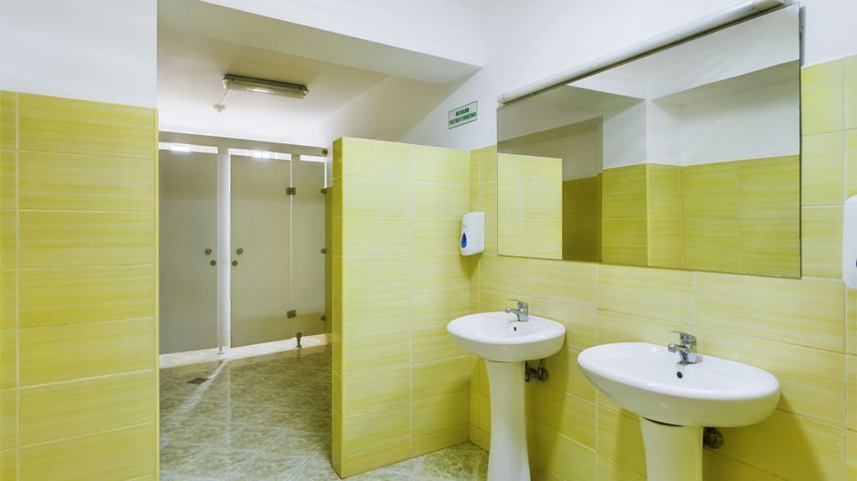 Pensiune in Arad (Vladimirescu) pe DN7 - Poză 7