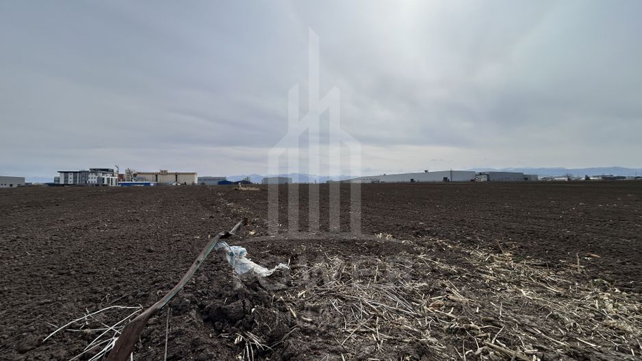 Teren intravilan de vânzare – 10.000 mp – Zona Industrială Vest | Comision 0% - Poză 3