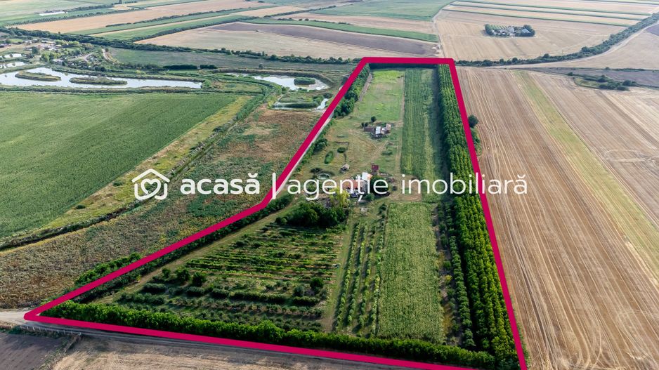 Preț nou! De vânzare teren 7.6 Ha în Pecica - Poză 1