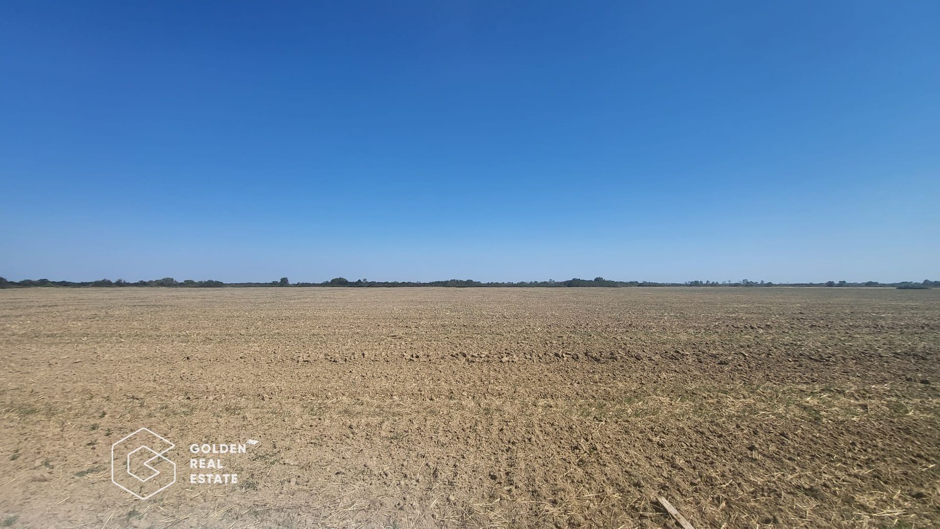 Teren Mosnita Noua, 11600 mp - Poză 3