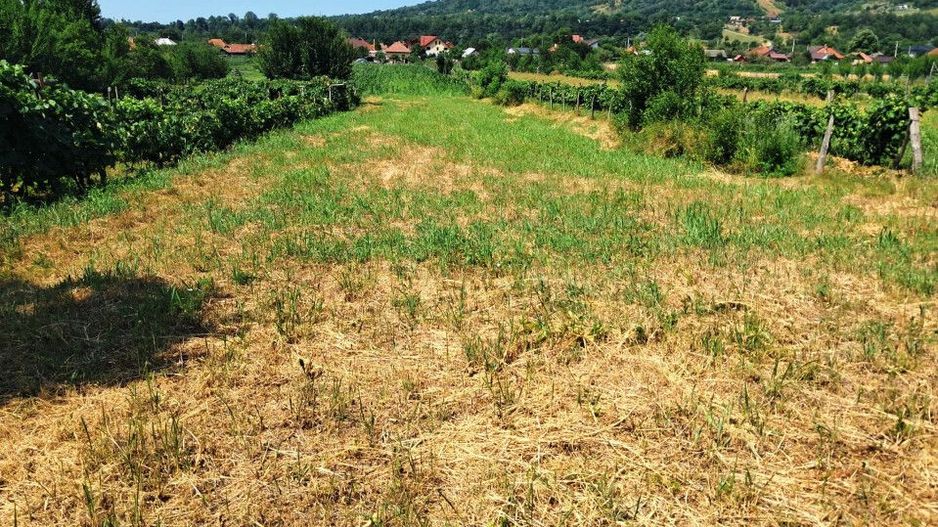 TEREN INTRAVILAN POLOVRAGI - Poză 4