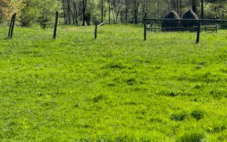 TEREN INTRAVILAN 2592 MP,  ALBESTI DE MUSCEL, ARGES - Poză 14