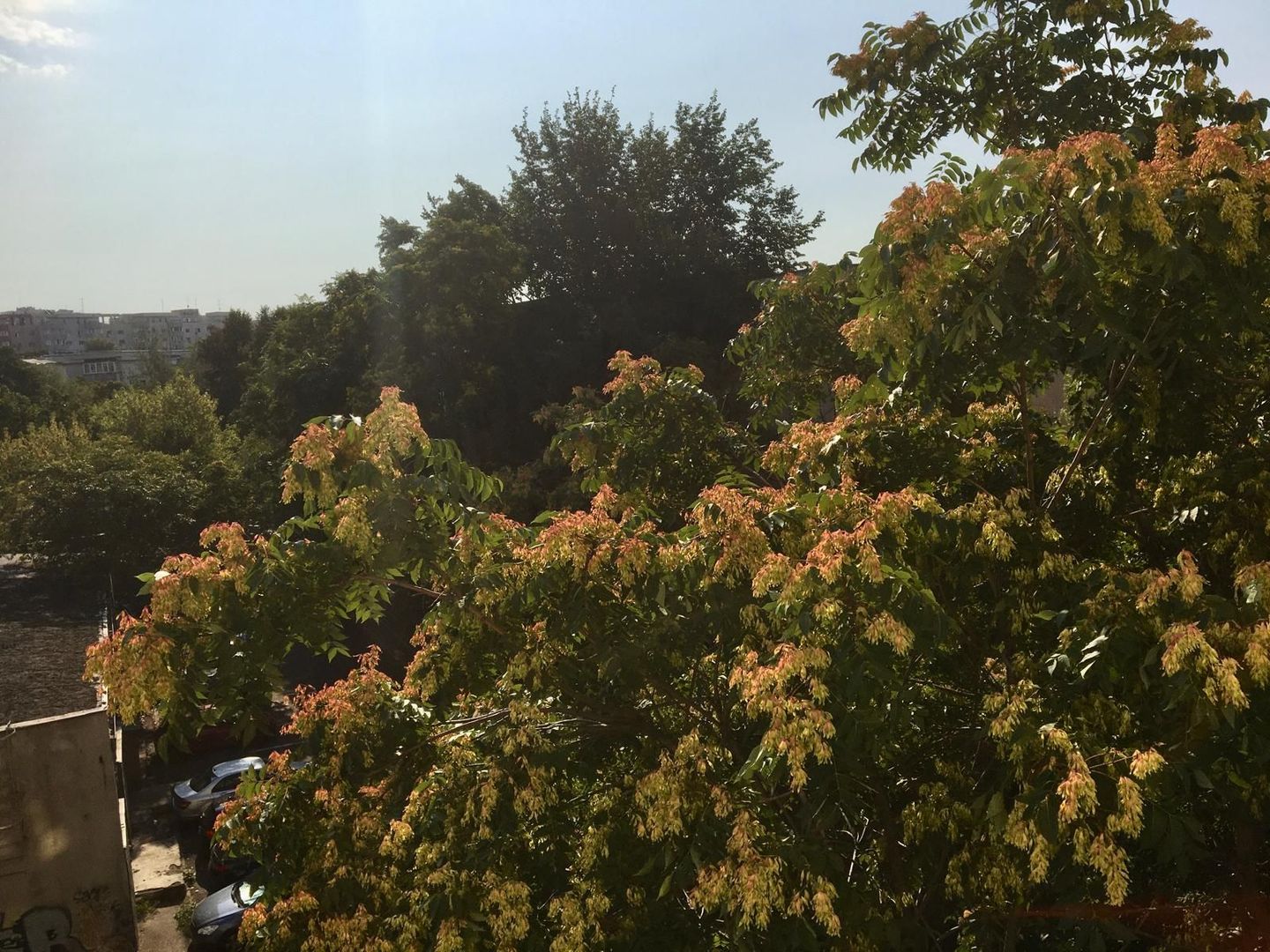 GARSONIERA la Mall Vitan, 39 mp, et 4, renovata, mobilata nou - Poză 14