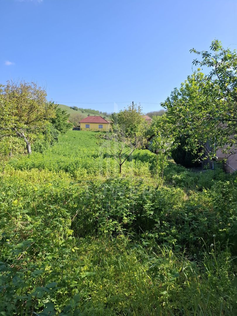 Casă cu două corpuri de clădire și teren generos – sat Boarta, județul Sibiu - Poză 16