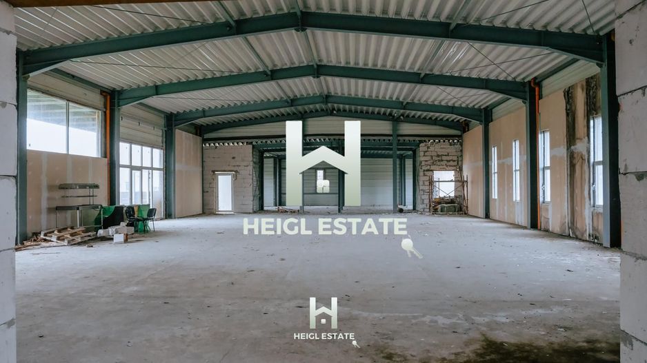 Sala de evenimente in Albina - Poză 13