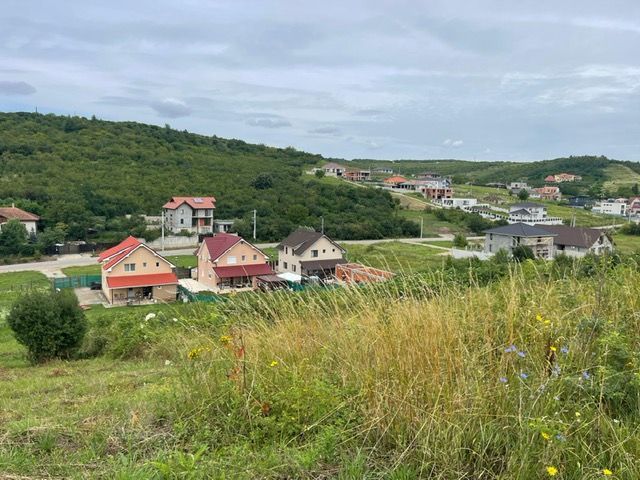 Teren intravilan, 1 050 mp,zona Gh Doja. 79.000 Euro neg. Comision 0 - Poză 1