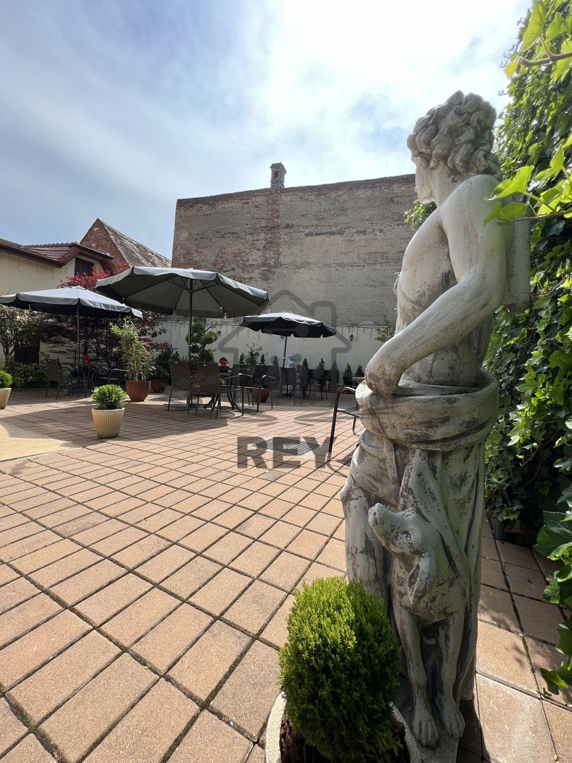 Vila de vanzare in zona Centrala/Orasul de jos - Poză 51