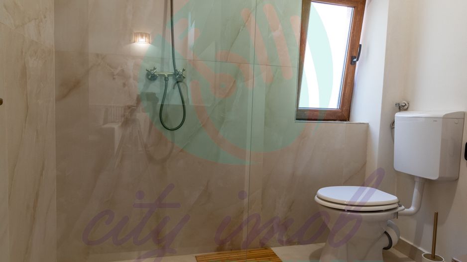 Vila interbelica AIRBNB "la cheie" - Poză 11