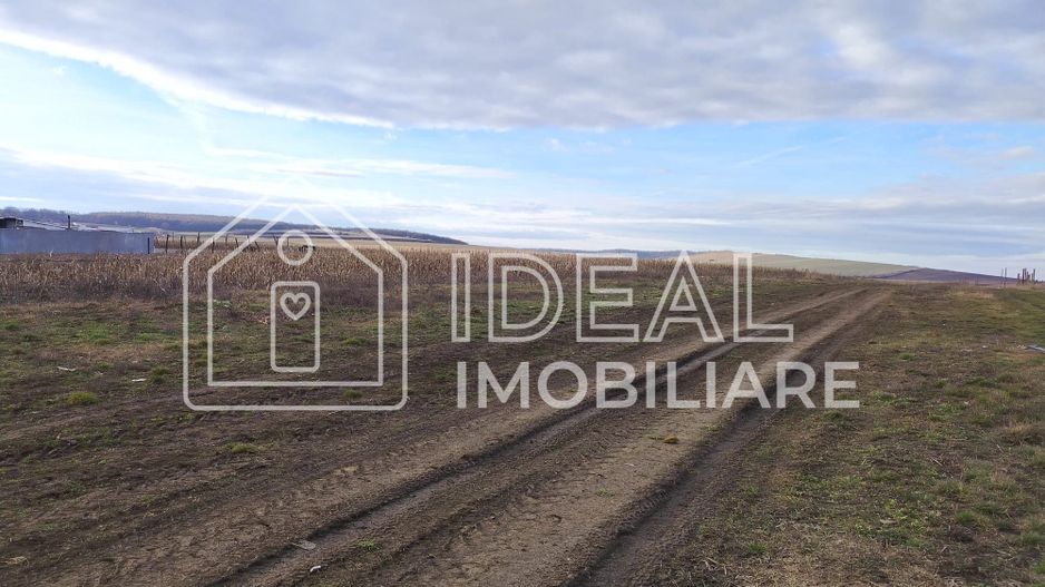 Teren intravilan parcelat – Șura Mică - Poză 1