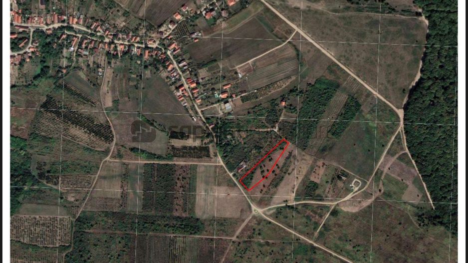 Sapient | Teren intravilan in Saldabagiu de Munte - Poză 2