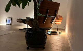 PENTHOUSE NUSCO CITY - Poză 14