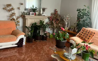Vila S+P+1+M Lapus, str Paunitei - Poză 26