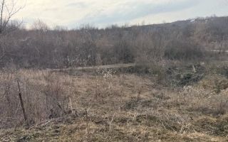 Teren cu priveliste superba, Vladiceni Iasi - Poză 4