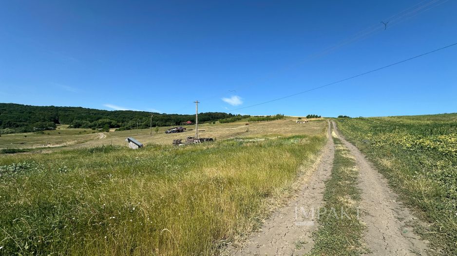 Teren extravilan cu priveliște deosebita, la liziera padurii – Dezmir - Poză 2