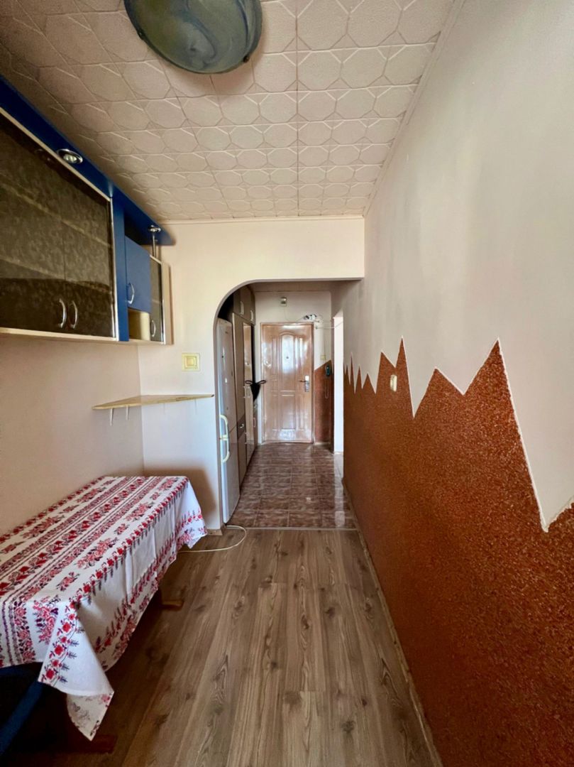 Apartament cu o cameră - Zona Nufarul - Poză 2