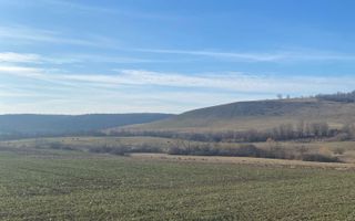 Teren extravilan de vanzare 3.900mp | Mierlau | Bihor - Poză 3