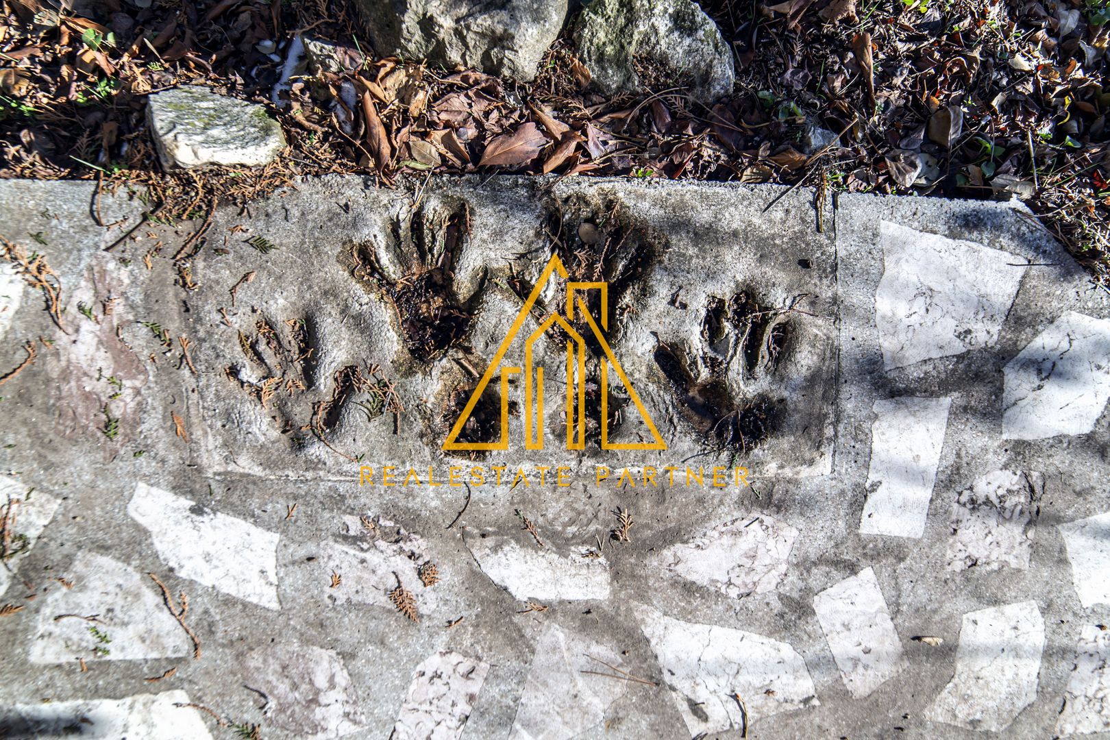 Casa superba, Adunatii Copaceni - Poză 4