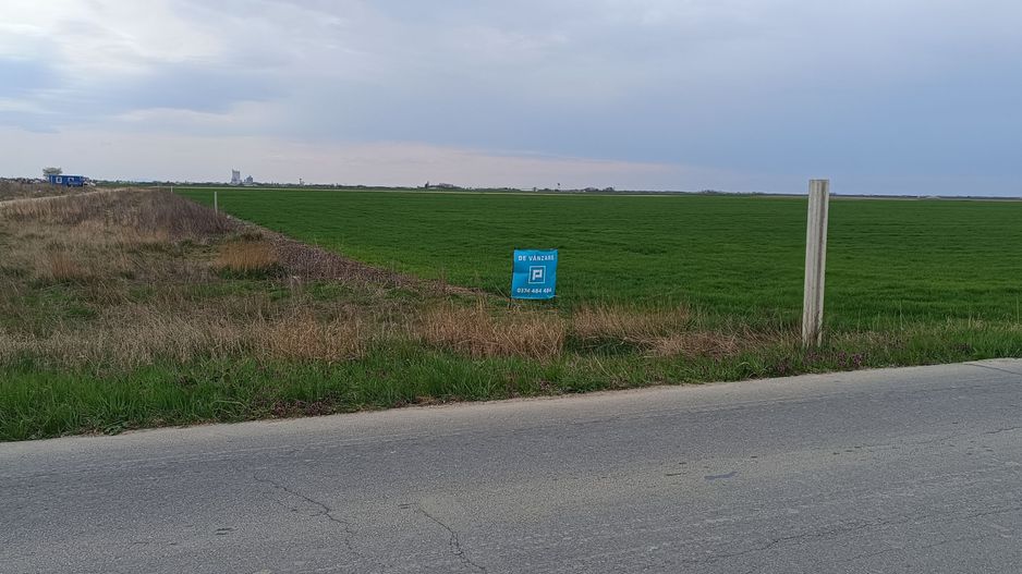 Teren extravilan 5 hectare ( zonă industrială ) Șag - Poză 10