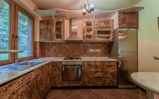 Domeniu în satul Căprioara - Poză 70