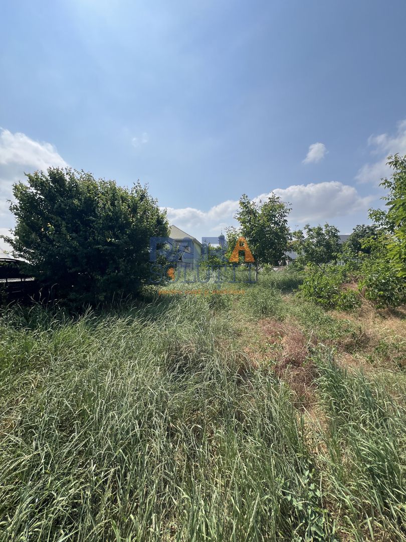 5200 mp intravilan - Str Viitorului (zona Abator) - Poză 1