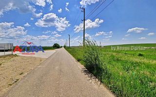 Vanzare  teren industrial, pretabil constructie hale - Poză 2