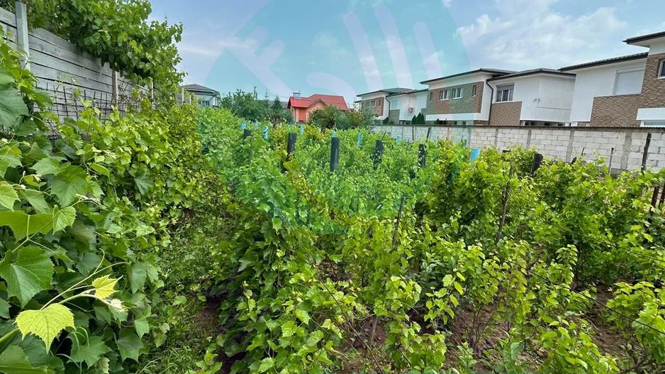 Teren cu utilități,  zonă în dezvoltare – Popești - Poză 5