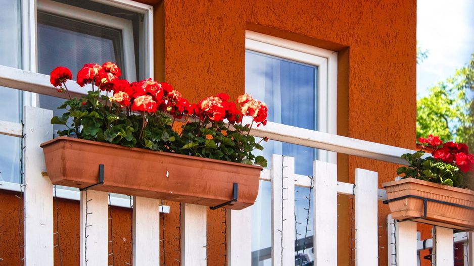 Casa in Feleacu, 1.582 mp teren intravilan. Se accepta schimburi. - Poză 19