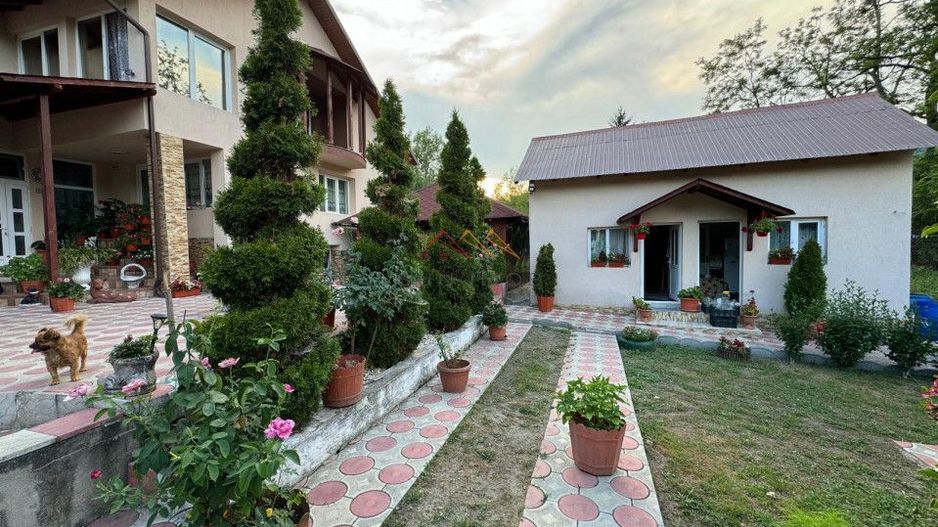 Casa 4 camere, anexe, recent renovata, foisor, teren 781mp, Izvoru, DB - Poză 10