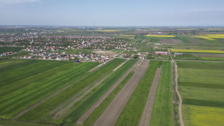 Loc de casa de 504 mp în Livada - Poză 6