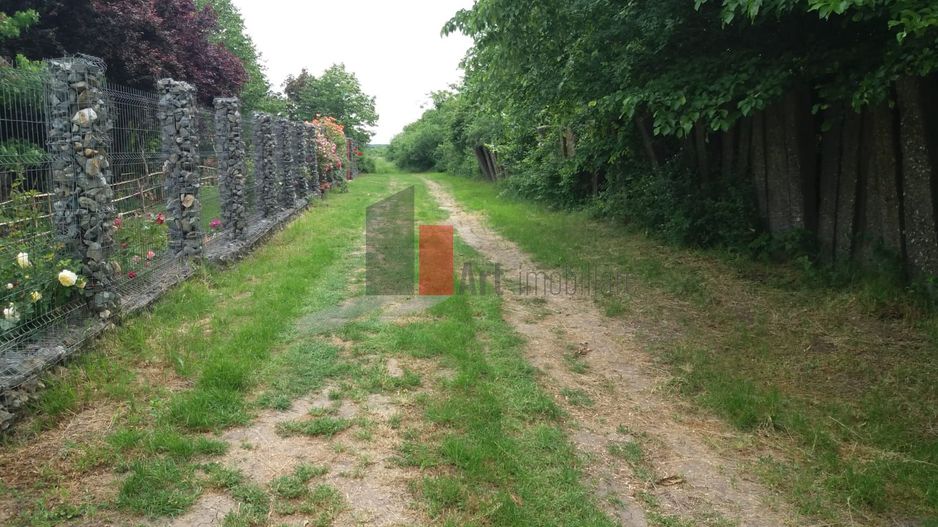 Teren cu iesire la lac - Poză 9