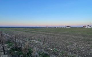 Teren intravilan 500 MP | Livada de Bihor | Bihor - Poză 2