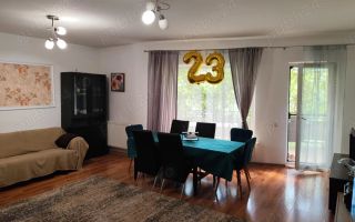 Zonă deosebită, oportunitate de investiție casă individuala in Gruia - Poză 2