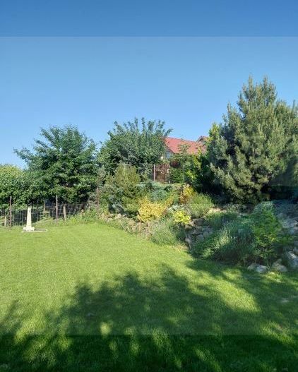 Casa individuala cu teren 750mp, garaj, beci, terasa - Dezmir - Poză 12