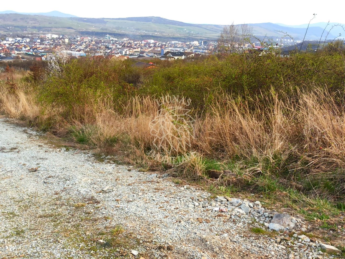 4 Parcele diferite intre 704 mp si 803 mp-ideal investitie-La Soare - Poză 2