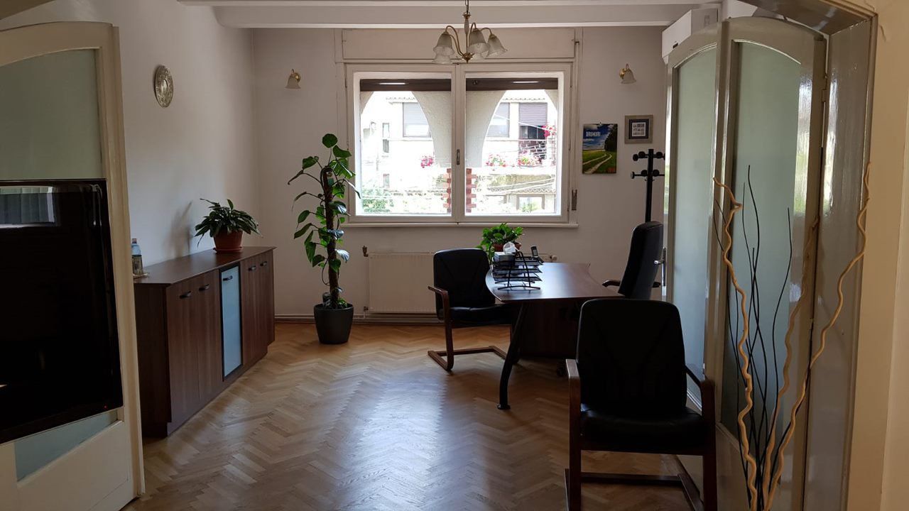 Cotroceni-Romniceanu  Vila/Casa eleganta - Poză 9