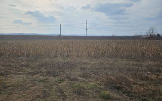 SUPEROFERTA !!! Teren 8000 mp,  Merisani, langa DN si Autostrada - Poză 8