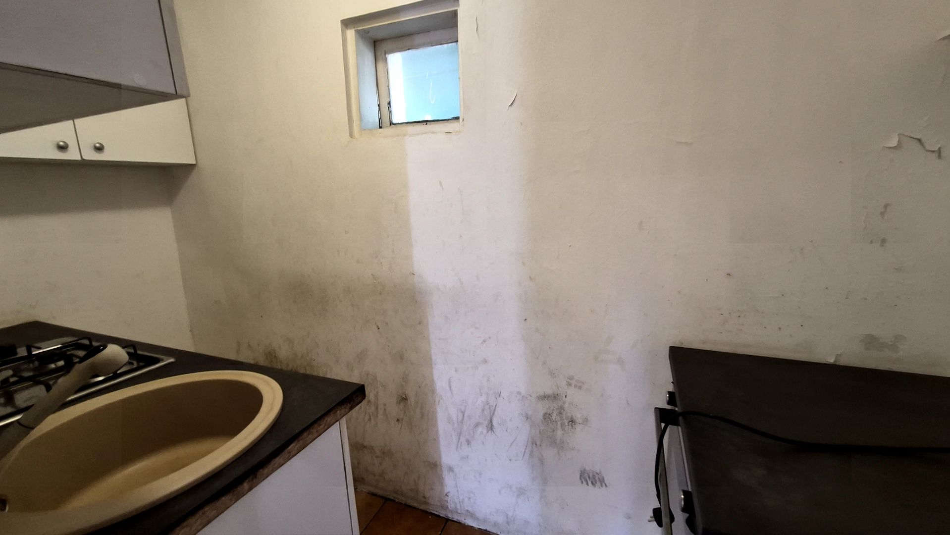 Casa Parter 43,40 mp + bucatarie anexa 13,40 mp - Parcul Carol - Poză 14