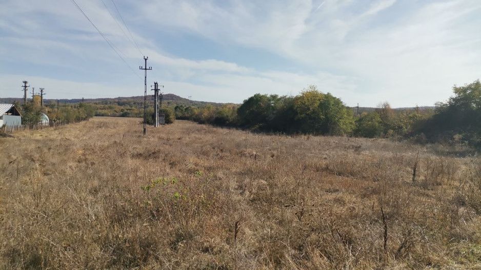 Vanzare teren arabil 22 Ha, plan, Arges, Moraresti - Poză 8